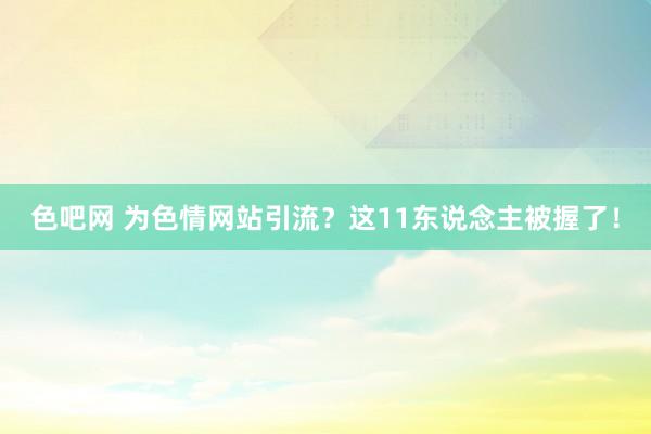 色吧网 为色情网站引流？这11东说念主被握了！